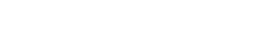 SynergyFirst Digital